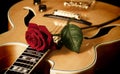 Red rose and jazz guitar Royalty Free Stock Photo