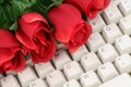 Red rose and keyboard Royalty Free Stock Photo