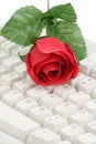 Red rose and keyboard Royalty Free Stock Photo