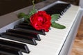 Red rose on keyboard of the digital piano Royalty Free Stock Photo