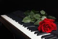 Red rose on the keys of the electronic synthesizer on black background