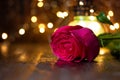 Red rose and lantern with lights on a wooden table Royalty Free Stock Photo