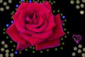 Red rose, lights and heart. Royalty Free Stock Photo