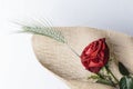 Red rose love gift isolated on a white background Royalty Free Stock Photo