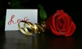 Red rose, love inscription, golden ribbon on a black background. Background for Valentine`s Day