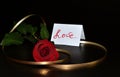 Red rose, love inscription, golden ribbon on a black background. Background for Valentine`s Day