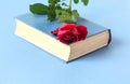 Red rose lying on a book on a blue background, close-up, space for text Royalty Free Stock Photo