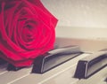 The red rose lying on piano keys Royalty Free Stock Photo