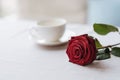 Red rose lying on the table in the restaurant