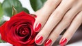 Red rose with manicure hands on white background Royalty Free Stock Photo