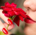 Red rose, red manicure and red lips Royalty Free Stock Photo