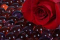 Red rose and marbles