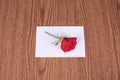 Red rose on message paper