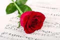 Red rose and music Royalty Free Stock Photo
