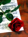 Red rose and music sheet Royalty Free Stock Photo