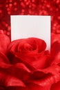 Red rose with note Royalty Free Stock Photo