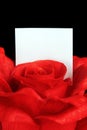 Red rose with note Royalty Free Stock Photo