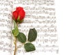 Red rose and note writing