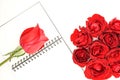 Red rose on notebook