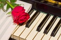 Red rose with notes paper on piano Royalty Free Stock Photo