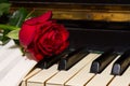 Red rose with notes paper on piano Royalty Free Stock Photo