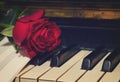 Red rose with notes paper on piano Royalty Free Stock Photo