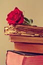 Red rose and old books Royalty Free Stock Photo