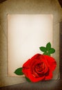Red rose on the old paper. Grunge card. Place for text. Flat lay