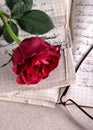 Red Rose on Old Paper Royalty Free Stock Photo