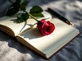 Red Rose on Open Blank Notebook with Pen Royalty Free Stock Photo