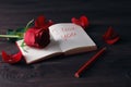 Red rose on the open book close-up Royalty Free Stock Photo