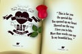 Red rose with open of diary background Royalty Free Stock Photo