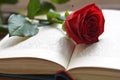 Red rose on opened book Royalty Free Stock Photo