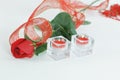 Red rose and a pair of candles on a white background.photo with copy space Royalty Free Stock Photo