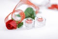Red rose and a pair of candles on a white background.photo with Royalty Free Stock Photo