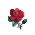 Red rose pattern. Pixel rose flower image. vector illustration Royalty Free Stock Photo