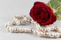 Red rose and pearls on white background Royalty Free Stock Photo