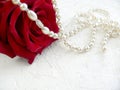 Red rose with pearls on white textured background. Royalty Free Stock Photo