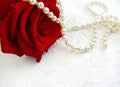 Red rose with pearls on white textured background. Royalty Free Stock Photo