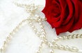 Red rose with pearls on white textured background. Royalty Free Stock Photo