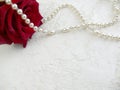 Red rose with pearls on white textured background. Royalty Free Stock Photo