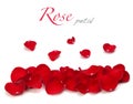 Red rose petal Royalty Free Stock Photo