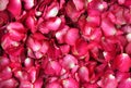 Red rose petal background Royalty Free Stock Photo