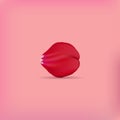 Red rose petal on rose background. Vector illustration