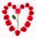 Red rose petal heart Royalty Free Stock Photo