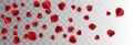 Red rose petal transparent background Royalty Free Stock Photo