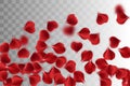 Red rose petal transparent background Royalty Free Stock Photo