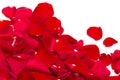 Red rose petals