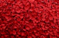 Red Rose Petals Background Royalty Free Stock Photo