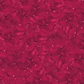 Red Rose Petals Background. High quality